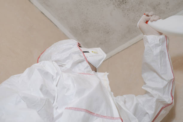 Best Professional Mold Removal  in Poughkeepsie, NY